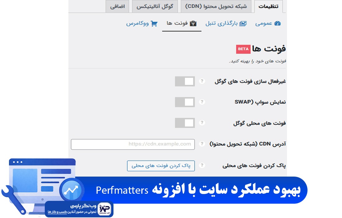 وب نگر پارسی افزونه Perfmatters