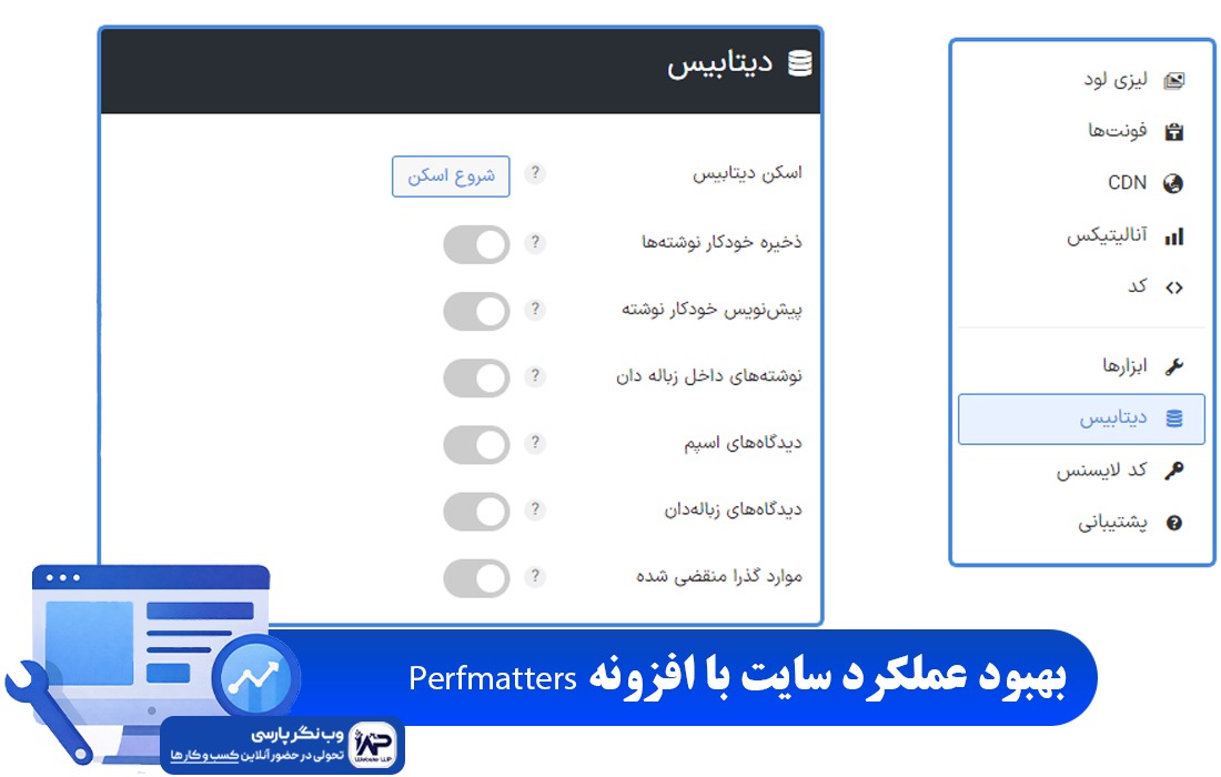 وب نگر پارسی افزونه Perfmatters
