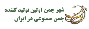 وب نگر پارسی وب نگر پارسی